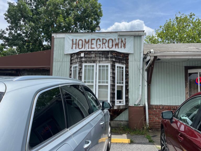 homegrown 1 768x576