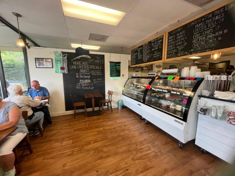 motherocean3 768x576