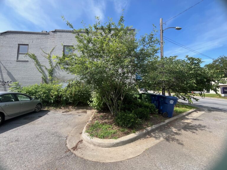 penncycup n 22 768x576