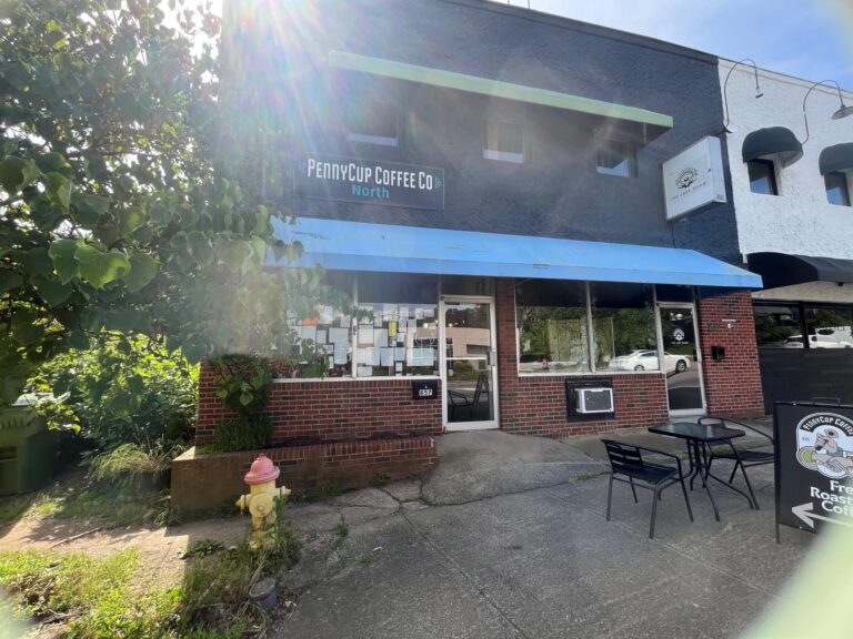 pennycup n 1 768x576