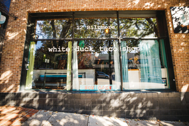 white duck 1 768x512
