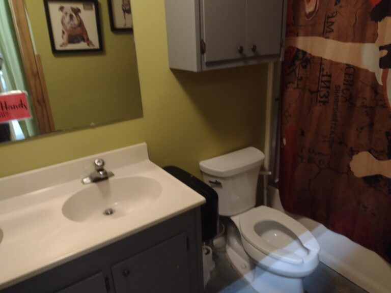 IMG 20250710 132256063 768x576