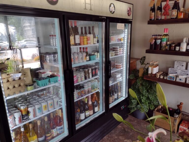 IMG 20250715 141306538 768x576