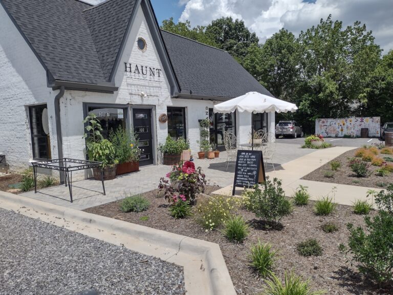 IMG 20250715 141538937 HDR 768x576