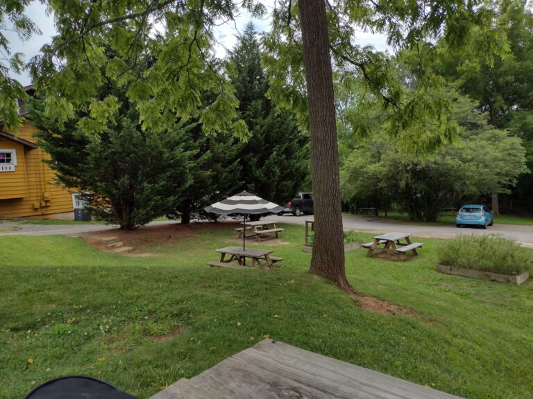 IMG 20250715 160954378 HDR 768x576