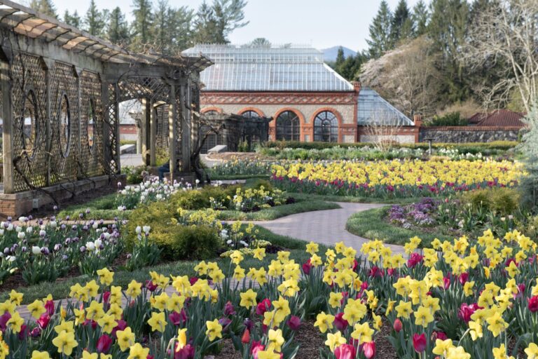 Biltmore Spring48 scaled 1 768x512