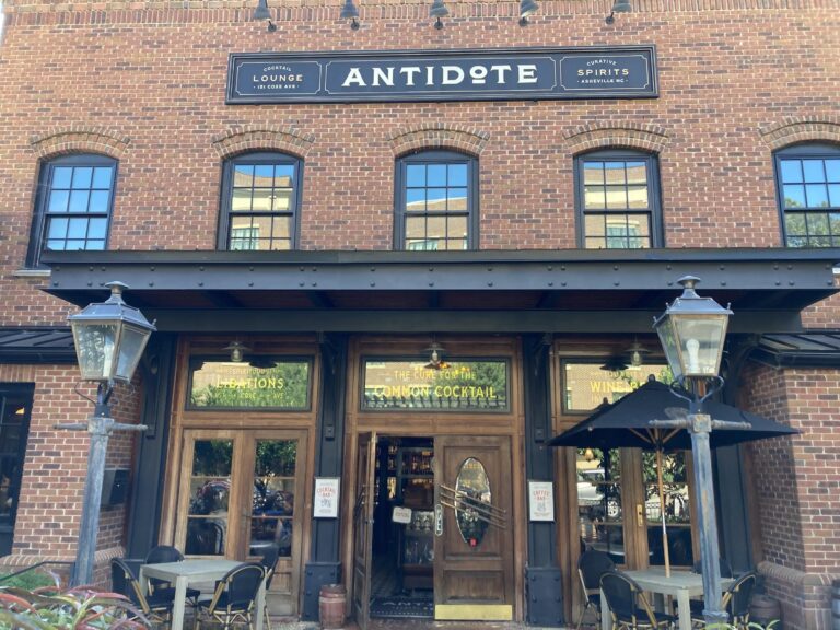 antidote1 768x576