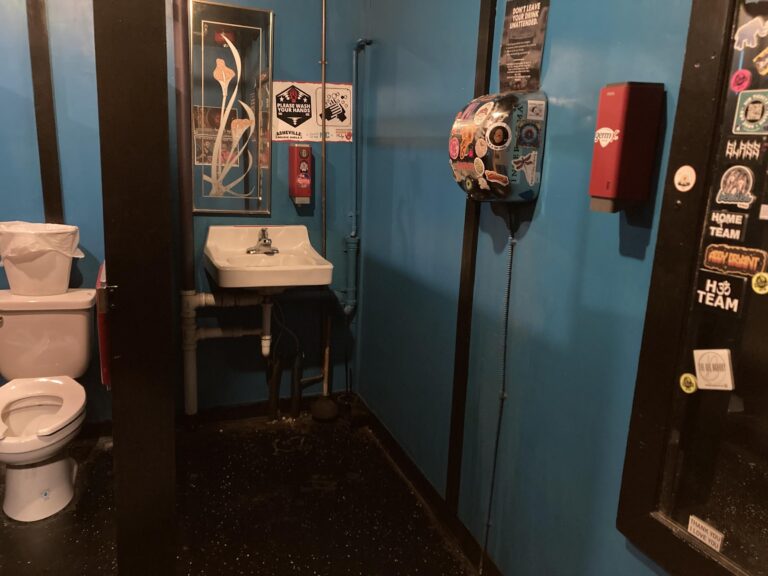 ashevillemusic6 768x576