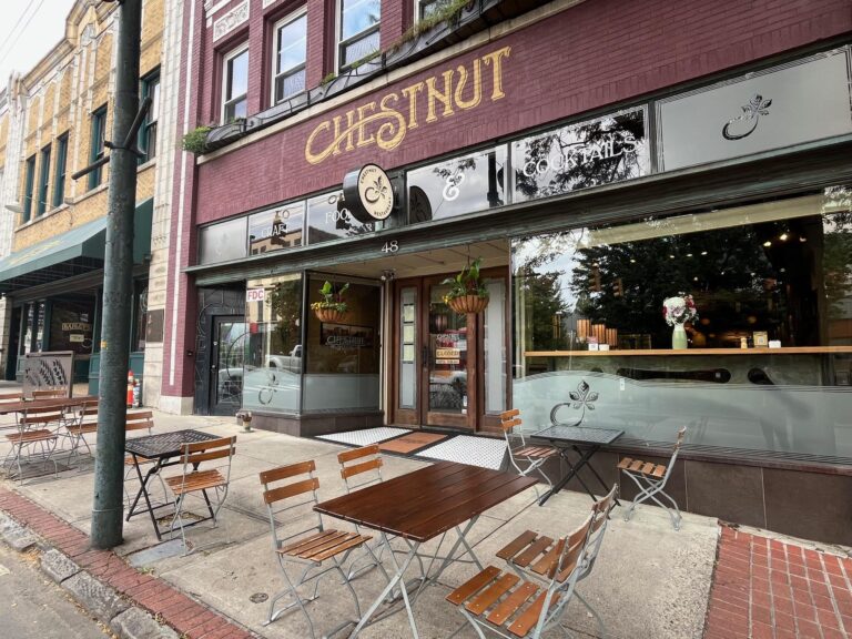 chestnut 768x576
