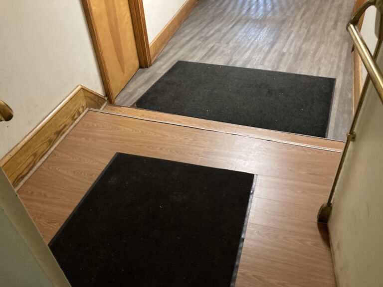 earlygirldt5 768x576