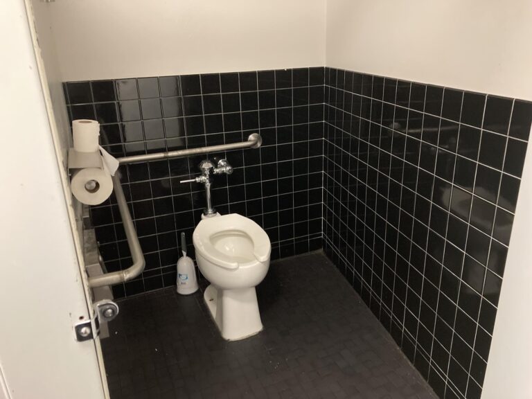 earlygirldt7 768x576