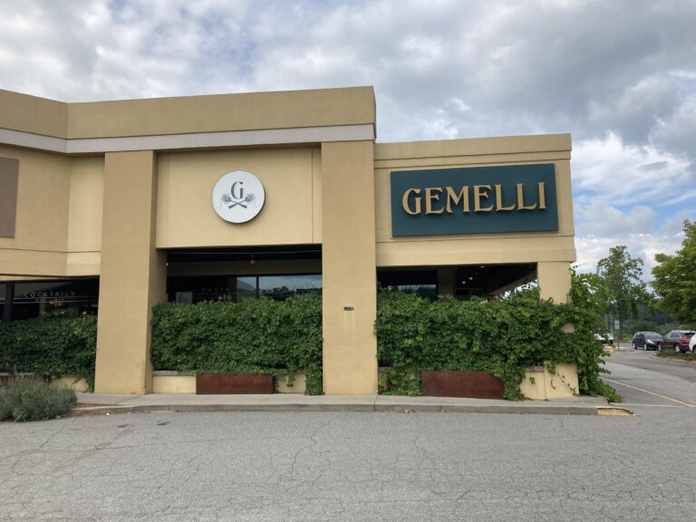 gemell1 768x576