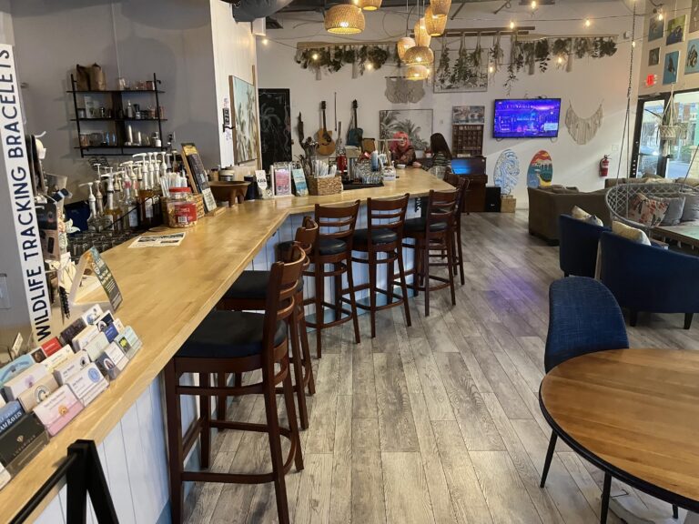 kavaculturemarco3 768x576