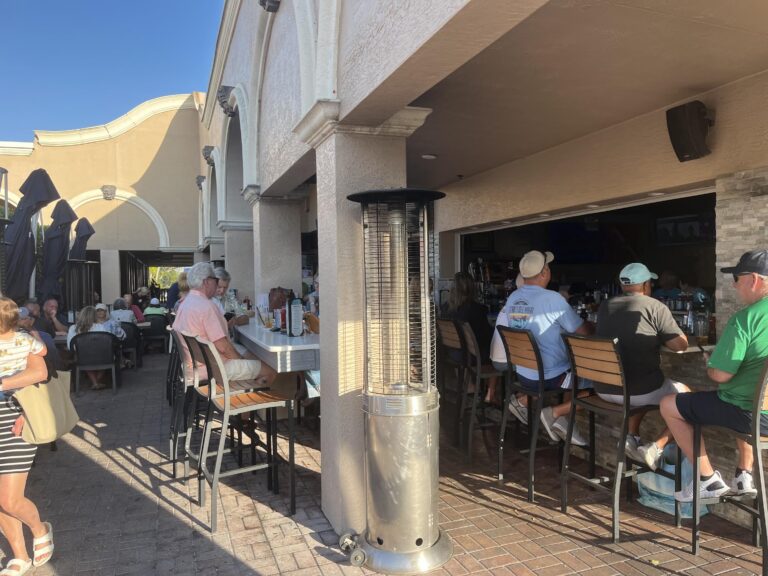 sheassaltymarco3 768x576