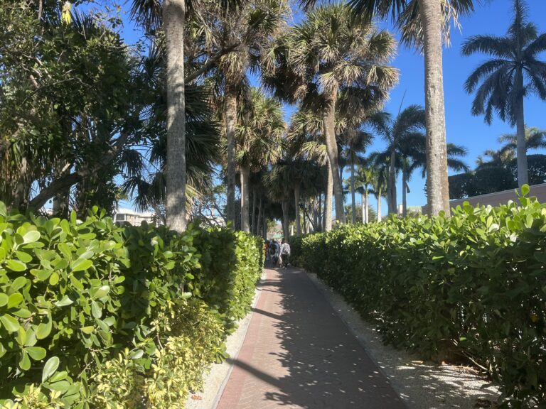 southbeachmarco3 768x576