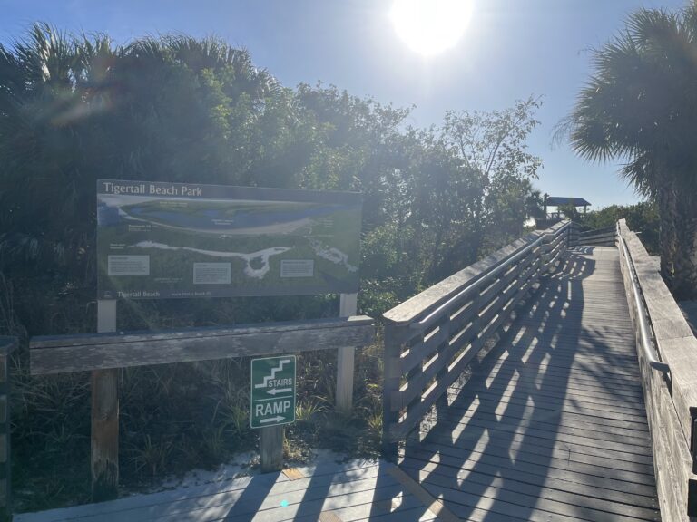 tigerbaymarco1 768x576