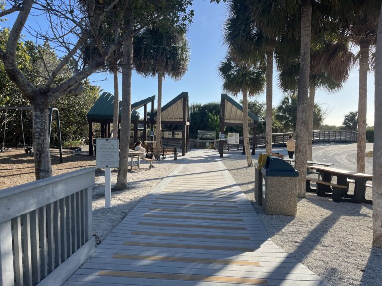 tigerbaymarco2 768x576