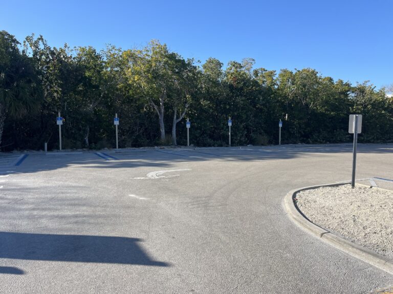 tigerbaymarco4 768x576