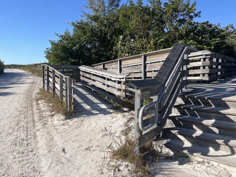 tigerbaymarco5 768x576