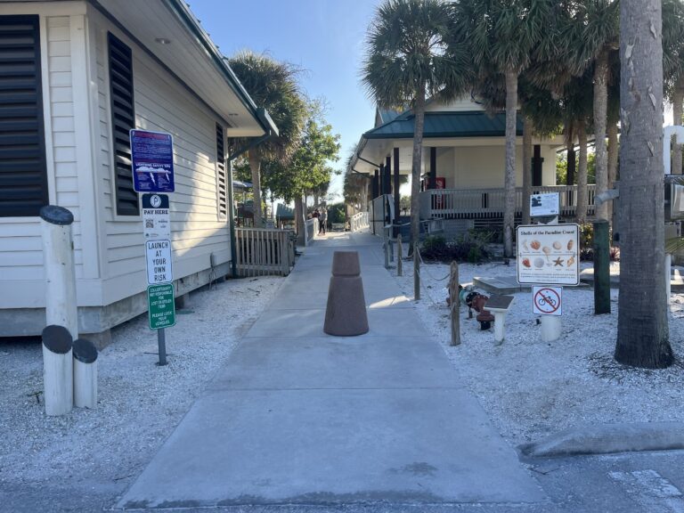 tigerbaymarco6 768x576