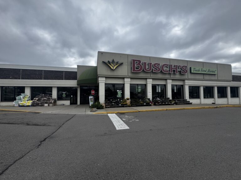 Buschs6 768x576